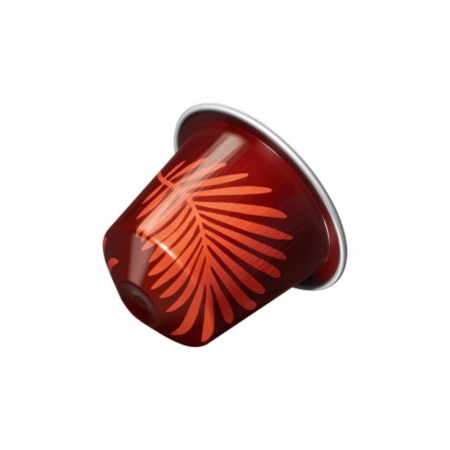 Forest Fruit Flavour